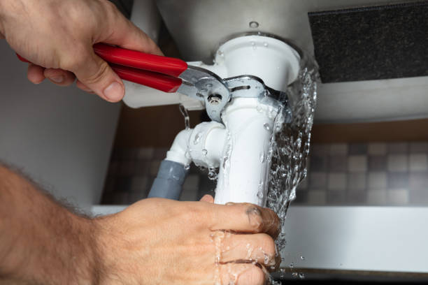Best Water damage contractors near me  in Morehead City, NC