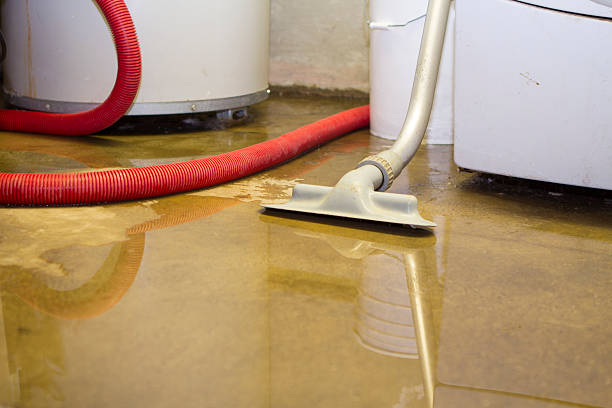 Best Water damage contractors near me  in Morehead City, NC