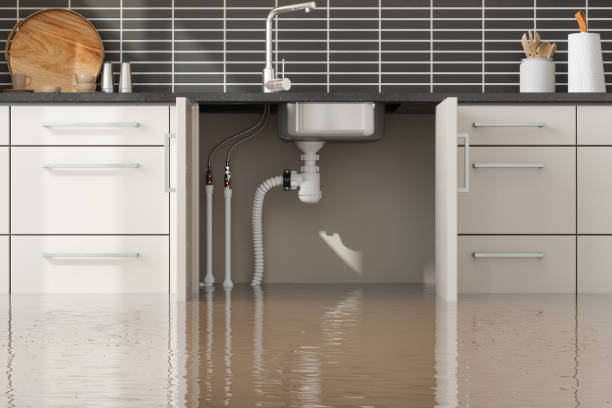 Best Fire Damage Restoration  in Morehead City, NC