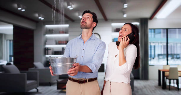 Best Commercial water damage restoration  in Morehead City, NC