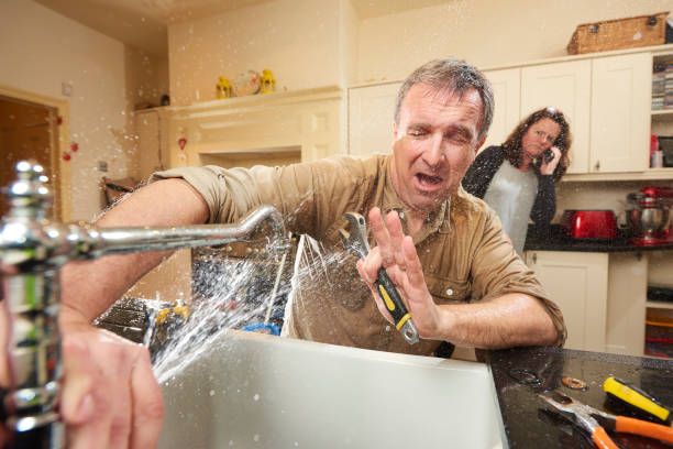 Best Professional water damage repair  in Morehead City, NC